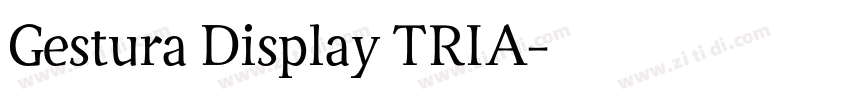 Gestura Display TRIA字体转换